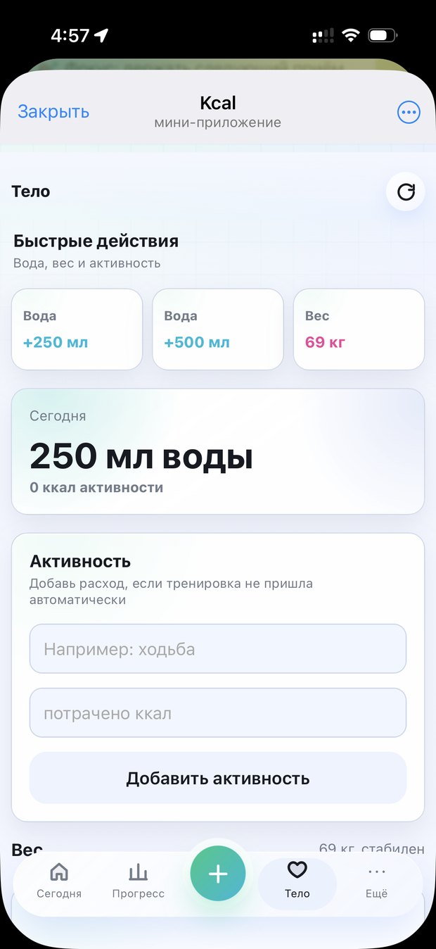 Экран тела с водой, весом и активностью