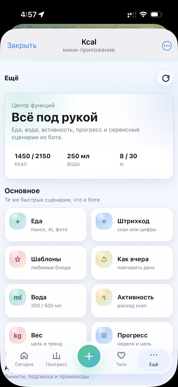 Экран еще с быстрыми функциями Kcal Bot